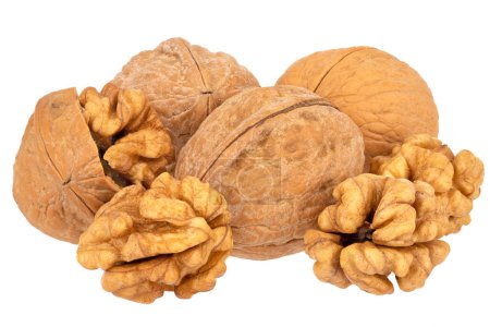 Photo for Walnuts collection on white. Healthy snack. - Royalty Free Image