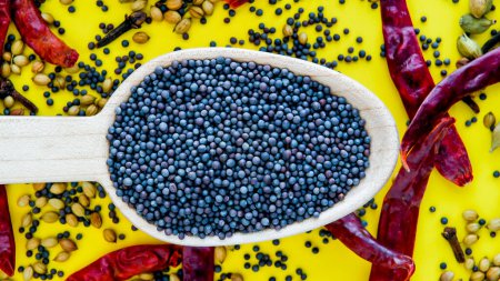 Photo for Wooden spoon with black mustard seeds on yelow background with red dry peppers - Royalty Free Image