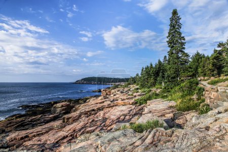 Acadia rocky coast during Summer in Maine