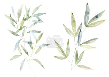 Photo for Set of green Branches. Watercolor Illustration. - Royalty Free Image