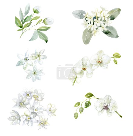 Photo for Set of white Flowers. Orchid Branch. Watercolor Illustration. - Royalty Free Image