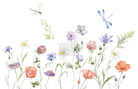 Photo for Watercolor Border with multicolor Wildflowers. Summer Illustration. - Royalty Free Image