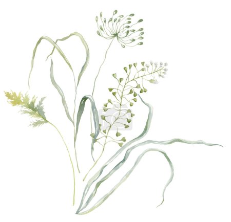 Acuarela Bouquet con hierba verde y planta. Diseño de la tarjeta en el fondo blanco.