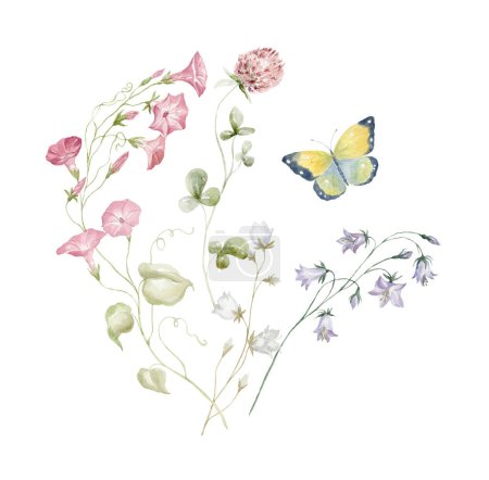 Téléchargez les photos : Bouquet aquarelle avec fleurs sauvages et papillon. Design pour carte sur fond blanc. - en image libre de droit
