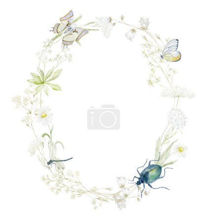 Photo for Watercolor Frame with Wildflowers on the white Background. Summer Illustration - Royalty Free Image