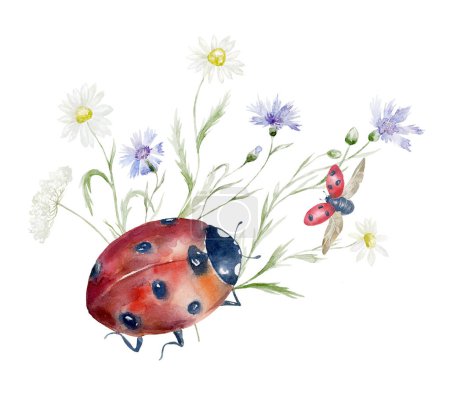 Photo for Watercolor Bouquet with Wildflowers and Ladybug. Design for Card on the white Background. - Royalty Free Image