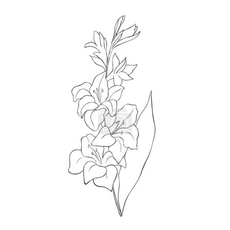 Ilustración de Line Art Gladiolus. Nacimiento Mes Flor. Logotipo del vector. - Imagen libre de derechos