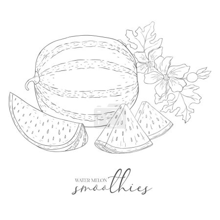 Photo for Line Art Watermelon Label. Elements of Fruits and Flowers. Vector Illustration on white Background. - Royalty Free Image
