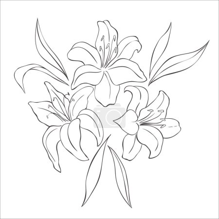 Photo for Line Art Lily Flowers on the white Background. Vector Illustration. - Royalty Free Image