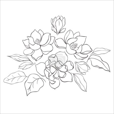 Photo for Line Art Magnolia Flowers on the white Background. Vector Illustration. - Royalty Free Image