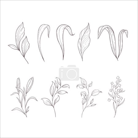 Photo for Set of Branches and Leaves. Line Art Illustration. - Royalty Free Image