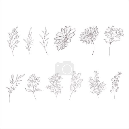 Photo for Set of Flowers and Branches. Line Art Illustration. - Royalty Free Image
