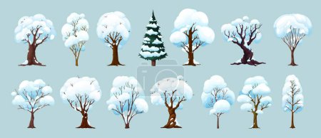 Illustration for Cartoon winter trees, isolated vector wintertime forest and garden plants with snow on branches. Birch, spruce, oak, maple or elm in park or wood, natural seasonal winter landscape tree - Royalty Free Image