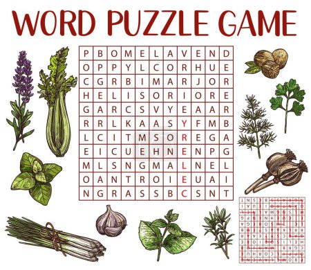 Illustration for Spices, herbs and seasonings sketch, word search puzzle game worksheet, vector quiz grid. Kids education riddle game to search and find word of herbs and spices, poppy and lavender with nutmeg - Royalty Free Image