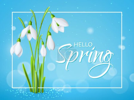 Illustration for Snowdrop flowers spring background. March white flowers realistic vector cover or wallpaper, garden plant background. Mothers day spring holiday banner, backdrop with gentle snowdrops flowers - Royalty Free Image