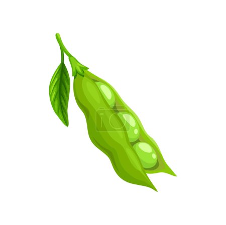 Illustration for Raw soy, isolated soybean green pod. Natural nutrition ingredient or vegan protein cartoon vector soya seed, ripe legume pod with leaves - Royalty Free Image