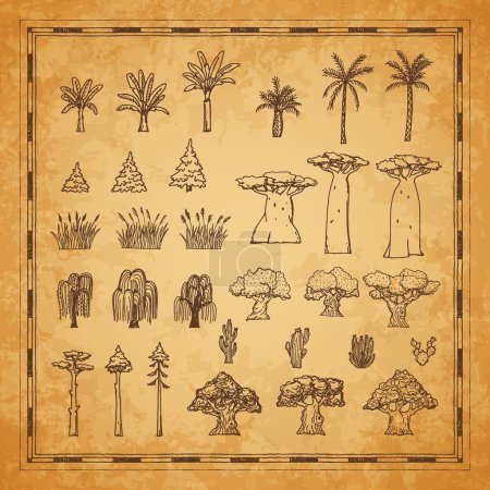 Illustration for Vintage map plants and trees, palm, baobab and cactus, willow, oak, reeds and spruce in vector sketch. Pirate treasure island and Caribbean adventure map with tropical trees on grunge background - Royalty Free Image