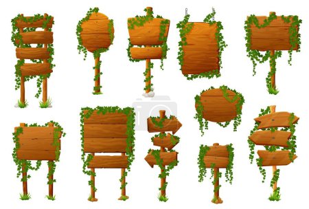 Illustration for Wooden signs and boards with ivy leaves. Wooden plank direction pointer with garden tree foliage, vector rustic signage covered climbing plant. Guidepost, banner with ivy or creeper shrubs leaves - Royalty Free Image