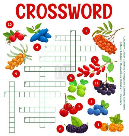Illustration for Cartoon berries crossword worksheet, find a word quiz vector game of kids education. Fill in squares puzzle or grid riddle with ripe fruits of cherry, blueberry, barberry, honeyberry and gooseberry - Royalty Free Image