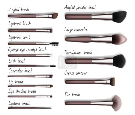 Illustration for Makeup cosmetic brushesn isolated realistic mockups. Angled, eyebrow and concealer, foundation, eyeliner and lip 3d vector brushes, woman make-up professional tools or beauty accessories mockups set - Royalty Free Image
