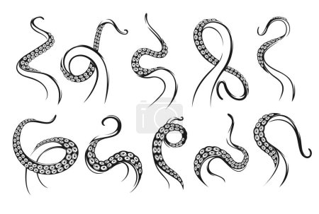 Illustration for Octopus tentacles. Kraken squid monster tattoo. Ocean scary monster or fantasy sea deep creature arm, isolated monochrome vector octopus curved, spiral tentacles with suckers - Royalty Free Image