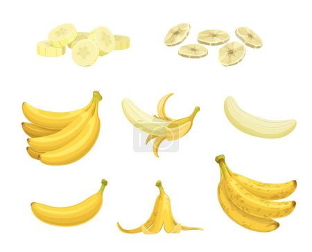 Illustration for Cartoon ripe banana fruit and snacks. Banana peel, bunch of fresh and overripe tropical fruits isolated vector. Chopped and dried snack, natural food diet and healthy nutrition ingredient - Royalty Free Image