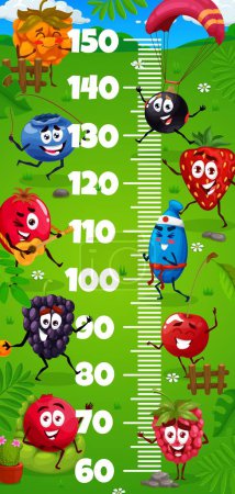 Illustration for Kids height chart. Cartoon berry characters on summer party. Child height meter, kids growth measure vector scale with raspberry, blueberry and blackcurrant, strawberry, cowberry and honeysuckle - Royalty Free Image