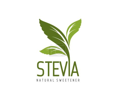 Illustration for Stevia leaves icon, natural sweetener, organic sugar substitute and bio food product vector label. Sweet stevia plant branch with green leaves isolated symbol of herbal extract and food supplement - Royalty Free Image
