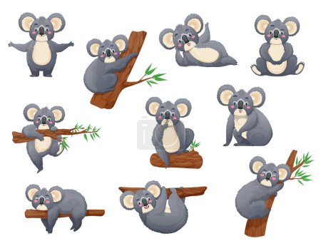 Téléchargez les illustrations : Dessin animé drôle koala ours personnages. Australie jungle faune, animaux zoo mascottes vectorielles isolées mignon, koala ours personnage mignon accroché et dormir sur l'arbre, site, manger des feuilles d'eucalyptus - en licence libre de droit