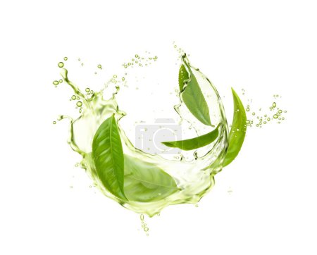 Photo for Green herbal tea wave splash with leaves, realistic drink flow. Vector design with fresh water organic beverage and splatters. 3d advertising with aqua flow motion and plant, natural aroma tea ads - Royalty Free Image