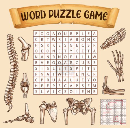Illustration for Human bones, word search puzzle game worksheet, vector riddle quiz. Kids word search grid to find words of human body anatomy bones of wrist, knee or root and pelvic, pacsula and cubit or spine - Royalty Free Image