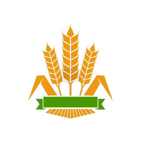 Illustration for Cereal ear and spike icon of wheat, rye or barley. Vector cereal food of agriculture and farm crop plants isolated symbol with gold sheaf of ripe grain spikelets and green ribbon banner, bakery label - Royalty Free Image