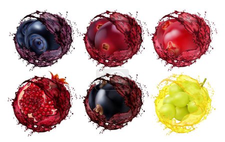 Illustration for Juice splash of blueberry, cranberry, lingonberry, pomegranate, currant and grape. Realistic 3d vector fruits or berries with liquid swirls. Fresh vitamin drink isolated whirls with splash droplets - Royalty Free Image