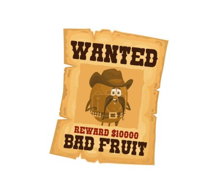 Téléchargez les illustrations : Vintage Western wanted poster. Kiwi cowboy character. Wild West criminal or bank robber, Texas outlaw cheerful and funny, mustached kiwifruit personage on wanted message old, ragged parchment paper - en licence libre de droit