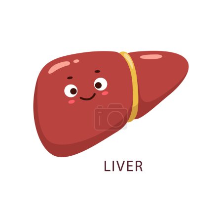 Téléchargez les illustrations : Cartoon liver human body organ character. Vector healthy digestive internal organ, anatomical personage with kawaii smiling face. Health care, medicine education for kids isolated design element - en licence libre de droit