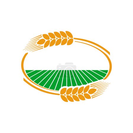 Illustration for Cereal ear and spike icon of wheat, rye, barley, rice and millet of agriculture crop plants. Vector farm field in frame of wheat ears, rye spikes or barley spikelets wreath with ripe grains and seed - Royalty Free Image