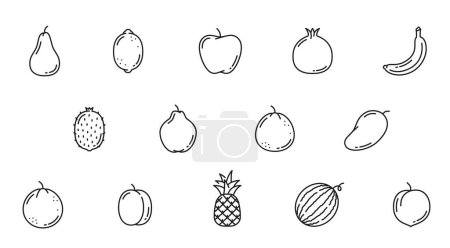 Farm garden raw fruit line icons. Pear, lemon, apple, pomegranate and banana, kiwi, quince, mango and orange, plum, pineapple, watermelon and sapodilla fruits outline vector, minimal pictograms set
