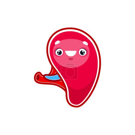 Illustration for Cartoon spleen human body organ character. Vector anatomical lymphatic system personage with kawaii smiling face, health care, medicine for kids - Royalty Free Image