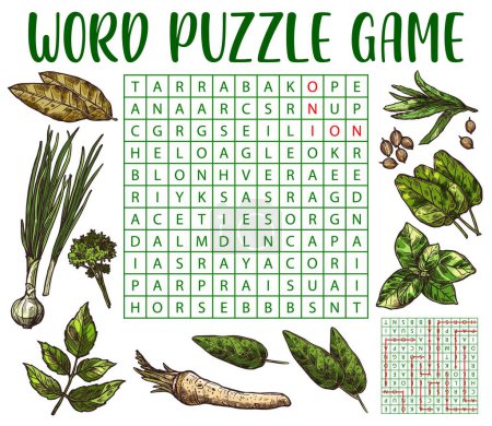 Téléchargez les illustrations : Herbs, spices and seasonings sketch, word search puzzle game worksheet, vector quiz grid. Find word of spices and herbs of tarragon, angelica or onion, coriander and parsley, sorrel and bay leaf - en licence libre de droit