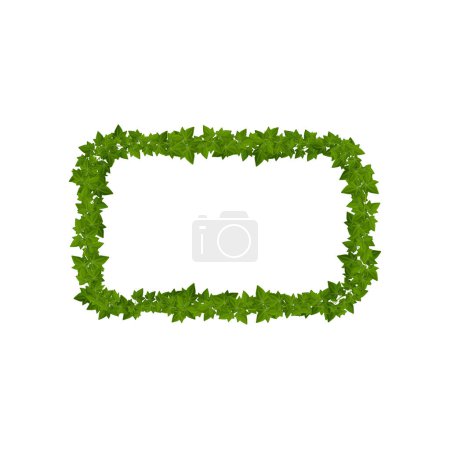 Illustration for Lianas and ivy green leaves border frame. Vine, hedera or ivy cartoon leaves vector rectangular frame, nature background, jungle climbing plant border - Royalty Free Image