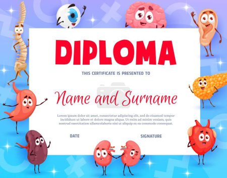 Téléchargez les illustrations : Kid diploma certificate of young doctor, cartoon funny human body organs, vector background. Children school or kindergarten medical classes graduate diploma with heart, brain, kidney and liver - en licence libre de droit