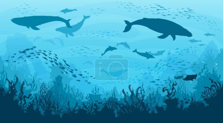 Téléchargez les illustrations : Underwater landscape, whales and dolphins in undersea, vector ocean deep background. Sperm whale and manta, seaweeds and corals with fish shoal silhouettes on ocean bottom or sea landscape - en licence libre de droit
