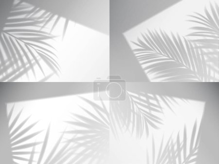 Ilustración de Palm leaves shadow overlay. Vector window frames with plant branches on wall, realistic light blinds. shade effect on white background. Soft sunlight fall on room floor, tropical mockup - Imagen libre de derechos
