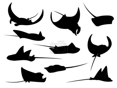 Téléchargez les illustrations : Manta ray, stingray or cramp fish silhouette. Vector animals of sea and ocean water swimming with waving fins and tails. Diving skate, stingray or eagle ray fish isolated symbols, underwater wildlife - en licence libre de droit