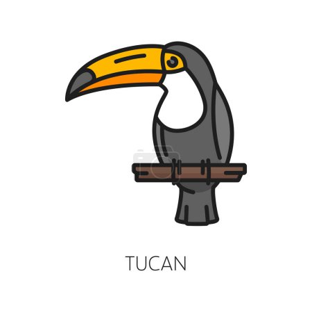 Téléchargez les illustrations : Toucan oiseau noir isolé poule toco avec long bec, symbole de voyage Argentine. Perroquet vectoriel au plumage vif, animal de dessin animé au long bec - en licence libre de droit