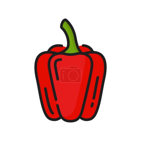 Téléchargez les illustrations : Légume végétarien poivre bulgare doux rouge, icône de ligne mince de couleur. Pellicule comestible vecteur, nourriture végétarienne mûre. Poivron naturel bio cru - en licence libre de droit