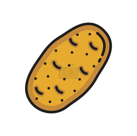 Ilustración de Sweet potato bulbous tuber vegetable food color line icon. Vector farming and agriculture product, vegetable root. Potato veggie, unpeeled large tuber - Imagen libre de derechos