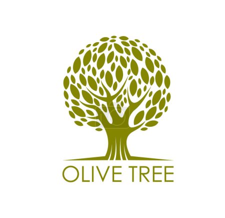 Téléchargez les illustrations : Olive tree, ecology symbol. Organic farm garden, vegetarian food and mediterranean cuisine, environment and ecology vector symbol. Eco product sign or emblem with green tree crown - en licence libre de droit