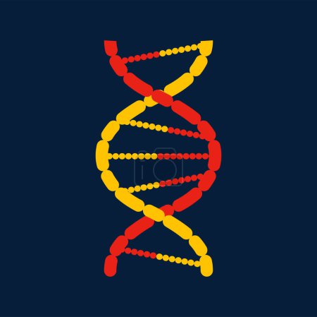 Téléchargez les illustrations : DNA abstract polygonal helix structure, cartoon genetic code, gene cell. Séquence vectorielle des chromosomes, chaîne cellulaire filaire molécule hélice - en licence libre de droit
