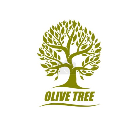 Téléchargez les illustrations : Olive tree icon, symbol, isolated vector emblem with plant with green leaves on branches. Label for eco food production, agriculture identity branding, natural organic cosmetics, oil symbolic - en licence libre de droit